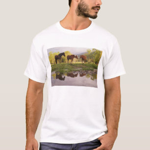 Horses reflected in small stream, Cades Cove, T-Shirt