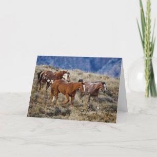 Horses Roaming the Hills Card