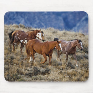 Horses Roaming the Hills Mouse Mat