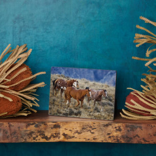 Horses Roaming the Hills Plaque