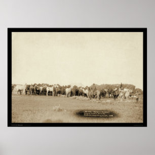 Horses Roped by Cowboys SD 1887 Poster