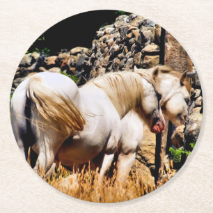 HORSES ROUND PAPER COASTER