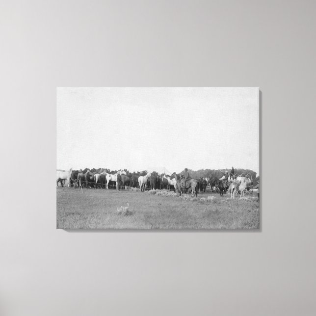 Horses Rounded up by Cowboys Photograph Canvas Print (Front)