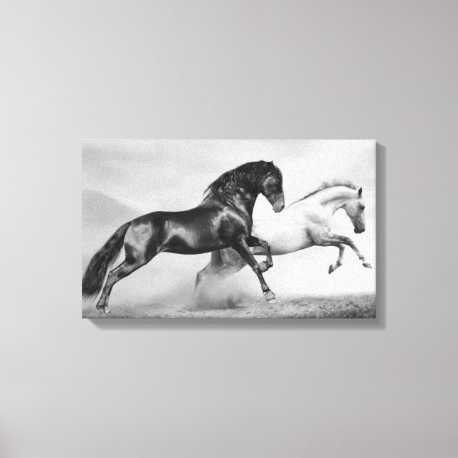 Horses Run Canvas Print (Front)