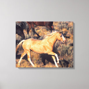 Horses Running a Ponderosa Ranch Canvas Print