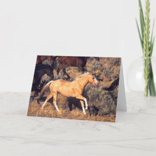 Horses Running a Ponderosa Ranch Card