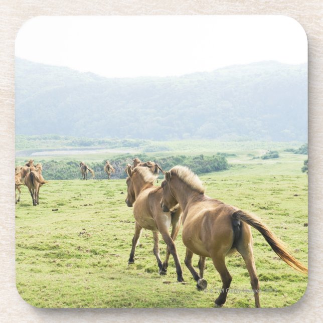 Horses running coaster (Front)