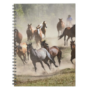Horses running during roundup, Montana Notebook