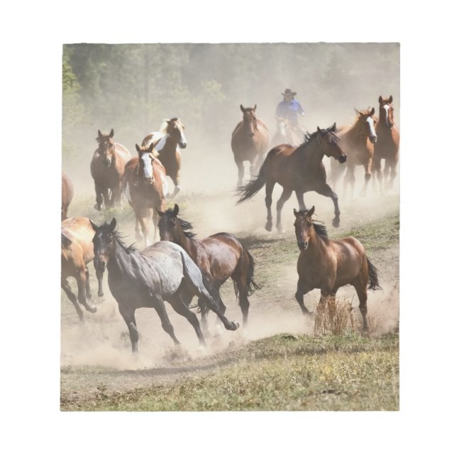 Horses running during roundup, Montana Notepad (Front)