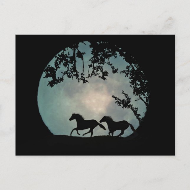 Horses running full Moon Postcard (Front)