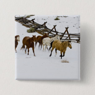 Horses Running in Snow 15 Cm Square Badge