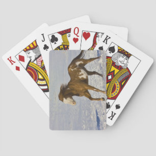 Horses Running in Snow Playing Cards