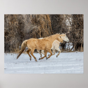 Horses Running in Snow Poster