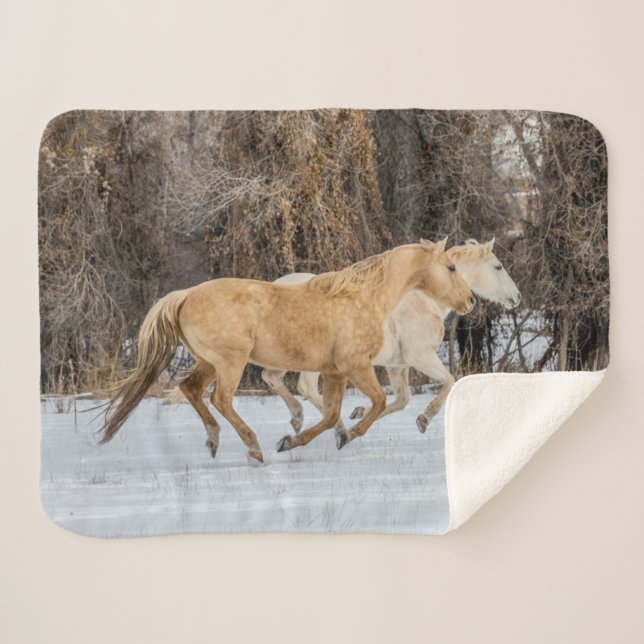 Horses Running in Snow Sherpa Blanket (Front (Horizontal))