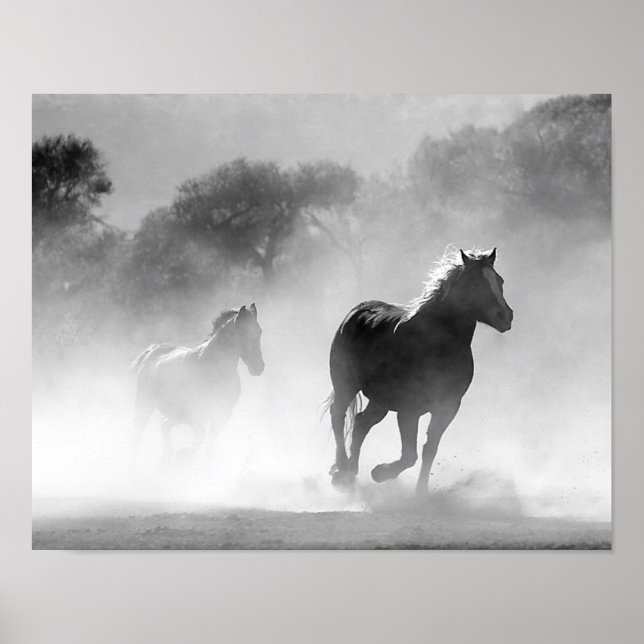 Horses Running in the Fog Black and White Poster (Front)