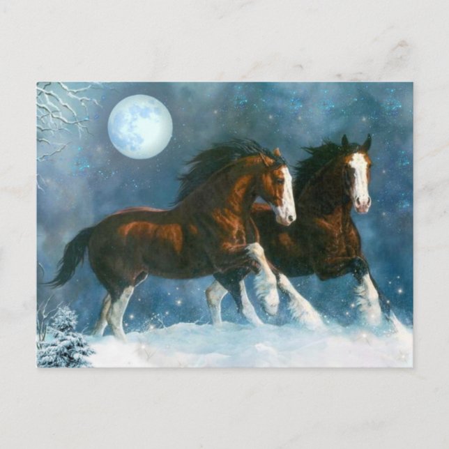 Horses Running In The Snow Postcard (Front)