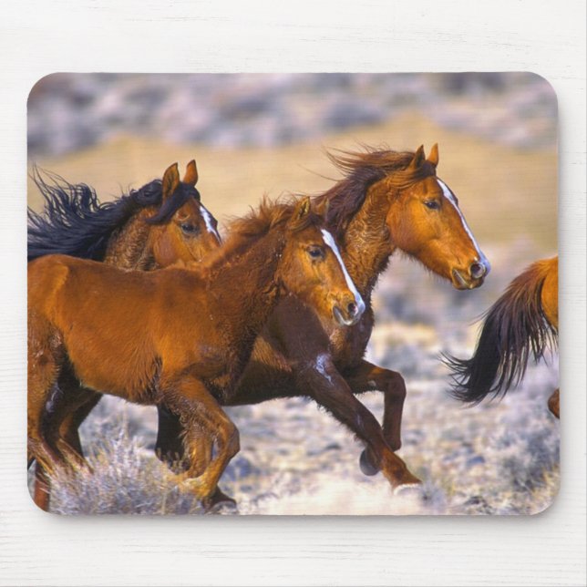 Horses running mouse mat (Front)