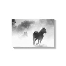 Horses Running through Fog in Black and White Canv