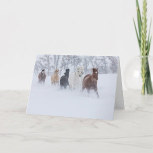 Horses Running Through the Snow Card