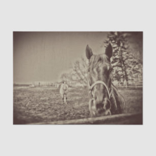 Horses Rustic Country Vintage Sepia Decoupage Tissue Paper