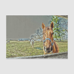 Horses Rustic Country Western Farm Decoupage Tissue Paper