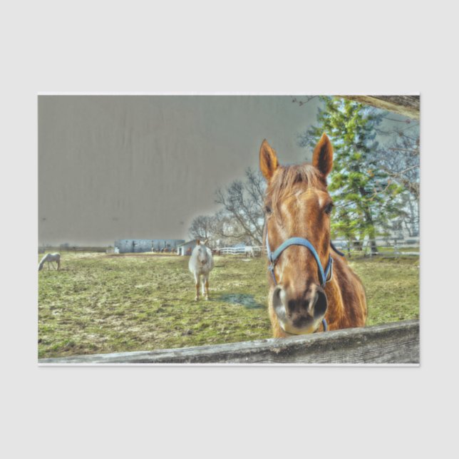 Horses Rustic Country Western Farm Decoupage Tissue Paper (Front)