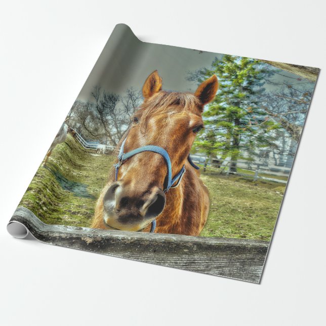 Horses Rustic Country Western Farm Decoupage Wrapping Paper (Unrolled)