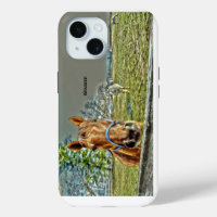 Horses Rustic Country Western Farm