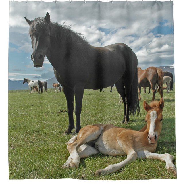 Horses Shower Curtain (Front)