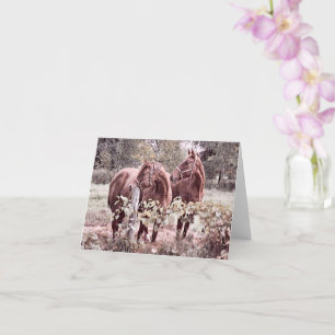 Horses Side-by-Side  - Blank Card