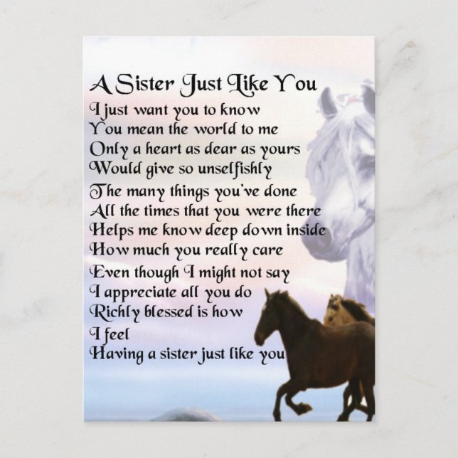 Horses  Sister Poem Postcard (Front)