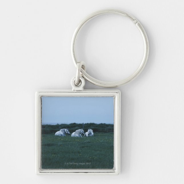 Horses sitting in field, Perci, Quebec, Canada Key Ring (Front)