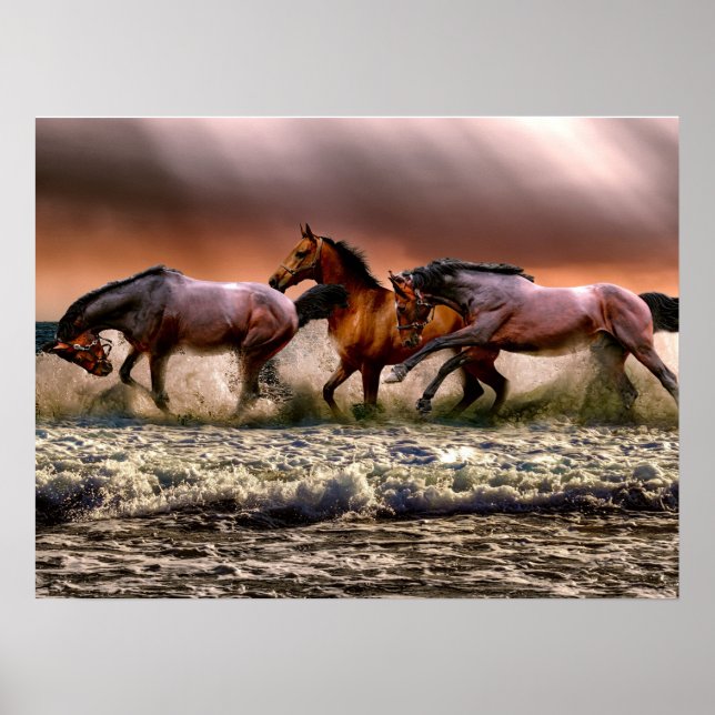 Horses Stallion at Beach Photo Nature Wall Poster (Front)