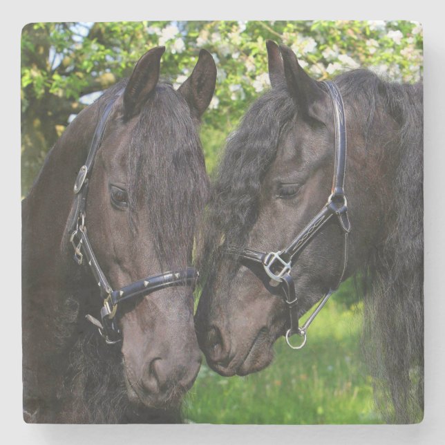 Horses Stone Coaster (Front)