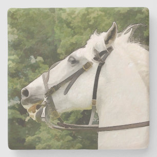 HORSES STONE COASTER