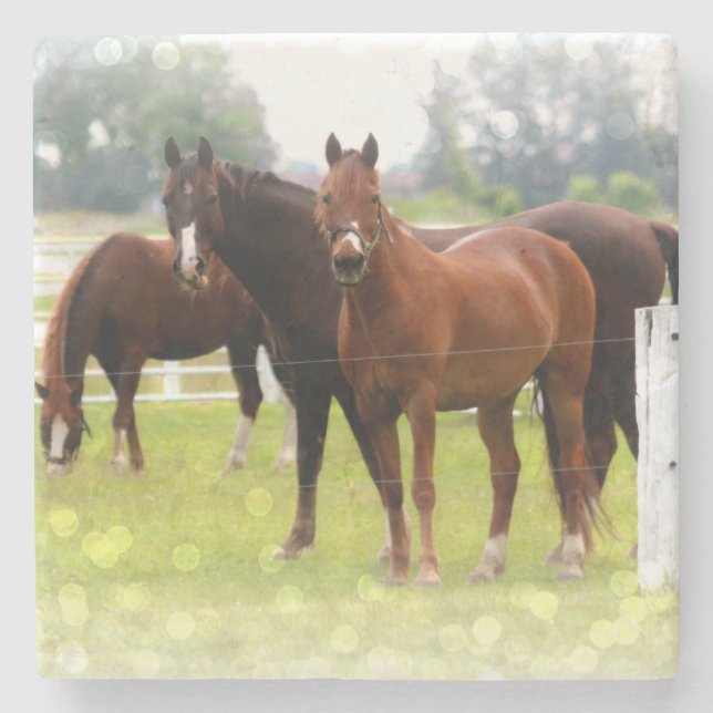 Horses Stone Coaster (Front)