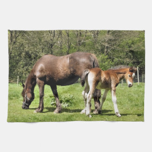 HORSES TEA TOWEL