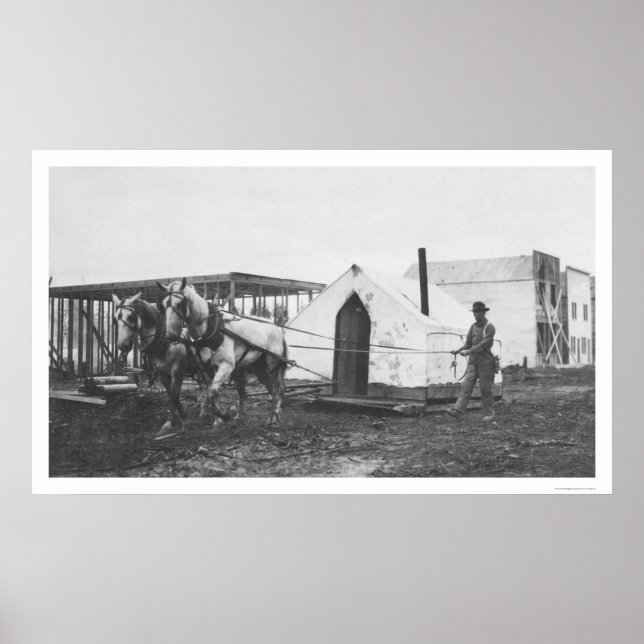 Horses Tent Anchorage 1916 Poster (Front)