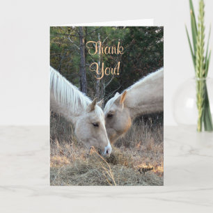 Horses Thank You Card