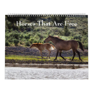 Horses That Are Free Calendar