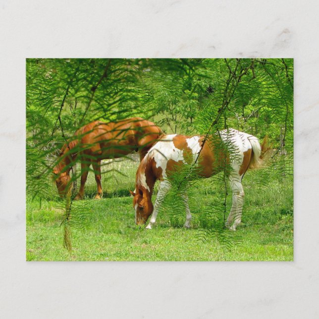Horses Thru Leaves Custom Postcard Template (Front)