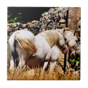 HORSES TILE