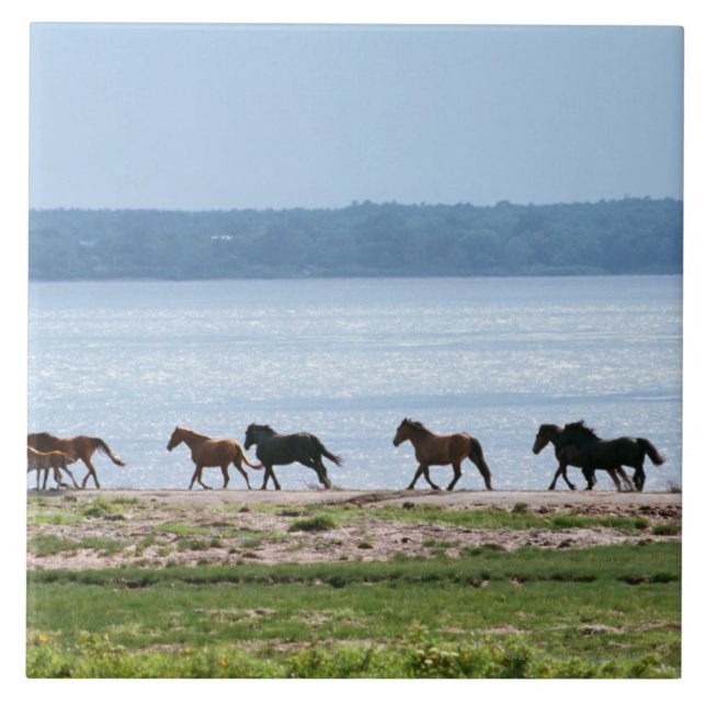 Horses Tile (Front)