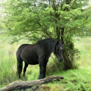 HORSES TILE