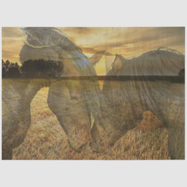 Horses Tissue Paper (Front)