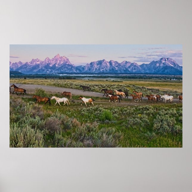 Horses Walk Poster (Front)