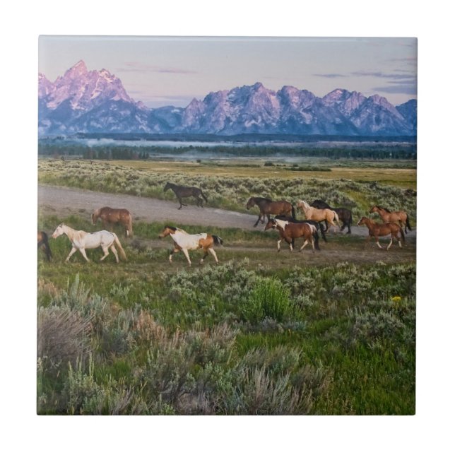 Horses Walk Tile (Front)