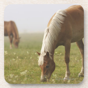 horses wildflower meadow morning mist Piano Coaster