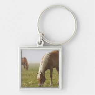 horses wildflower meadow morning mist Piano Key Ring