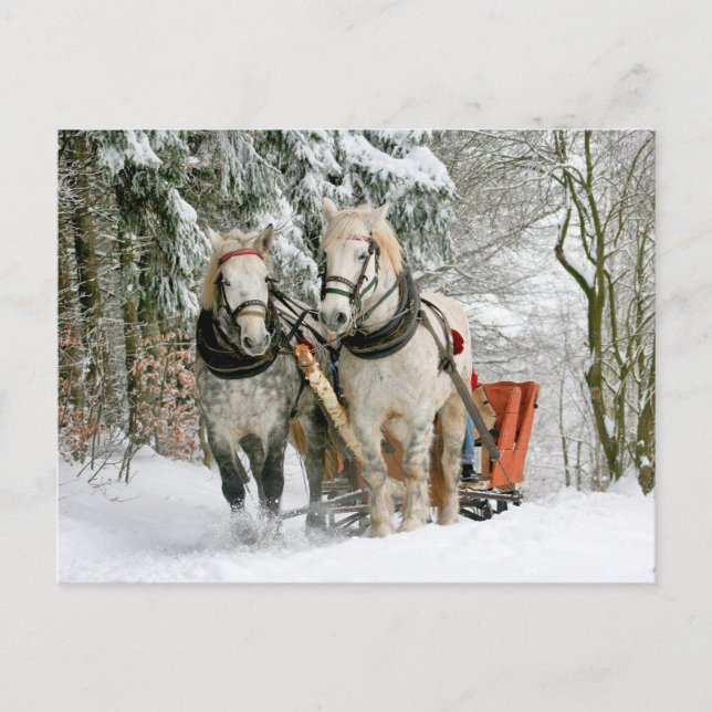 Horses Winter Carriage Slide Postcrossing Postcard (Front)